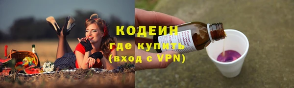 apvp Белокуриха