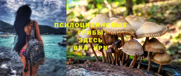 apvp Белокуриха