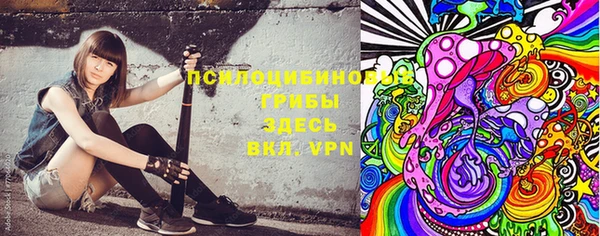 apvp Белокуриха